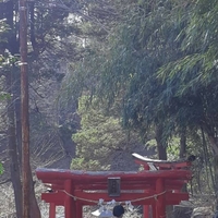 磯崎稲荷神社の写真