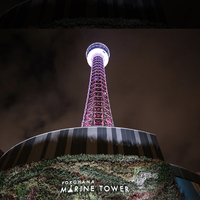 横浜マリンタワーの写真