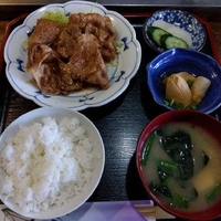さくらの写真