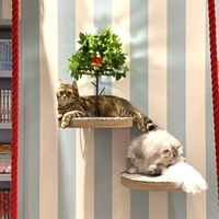 猫カフェ モカ イオンレイクタウン店の写真