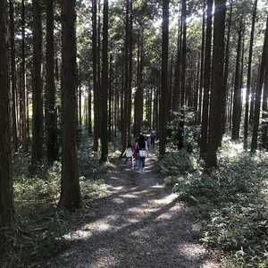 三重県民の森 三重県三重郡菰野町大字千草 見る Yahoo ロコ