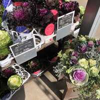 グッデイ 古賀千鳥店 福岡県古賀市舞の里 ホームセンター Yahoo ロコ