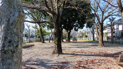 東中新宿子供の遊び場みどりのひろば 千葉県柏市東中新宿 その他公園 Yahoo ロコ