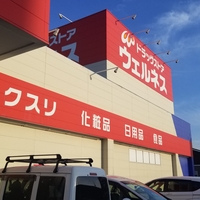 ドラッグストアウェルネス 湖山東店の写真