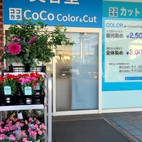 CoCo Color&Cut 茶屋町店の写真