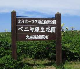 ベニヤ原生花園 北海道枝幸郡浜頓別町字頓別 Yahoo ロコ