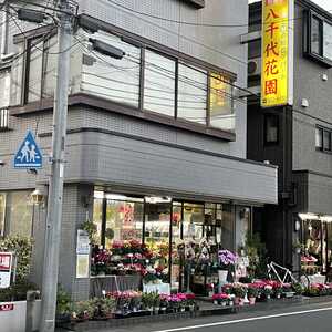 八千代花園 埼玉県北本市中央 その他 Yahoo ロコ