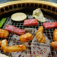 佐太郎の写真