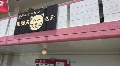 猫喫茶 毛玉 沖縄県南城市玉城 カフェ Yahoo ロコ