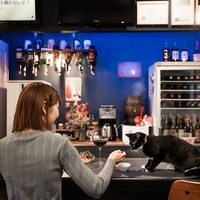 Cafe&Diningbar With Cat's Lampの写真