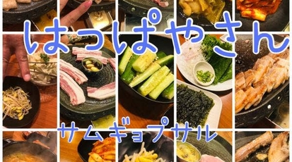 はっぱや 阪神西宮店 兵庫県西宮市久保町 韓国料理 Yahoo ロコ