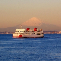 東京湾納涼船サンセットクルーズの写真