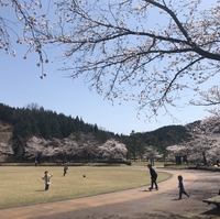 ふくい健康の森健康スポーツ公園中央広場の写真
