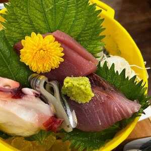 旨い魚とレモンサワー トロ政 新宿店 東京都新宿区西新宿 居酒屋 Yahoo ロコ