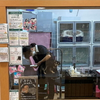 LIFE PARTNER IKEDA 横須賀店の写真