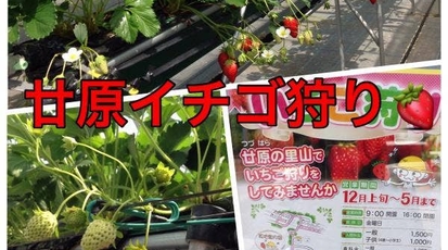 廿原ええのお 岐阜県多治見市廿原町 自然食 テイクアウト お土産 Yahoo ロコ