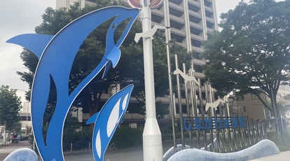 しながわ水族館 東京都品川区勝島 水族館 Yahoo ロコ