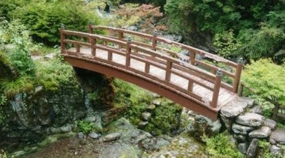 紅葉の時期に一度は行ってみたい高知県仁淀川町の安居渓谷と中津渓谷 196 Camp Blog