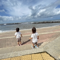 赤石浜海水浴場の写真