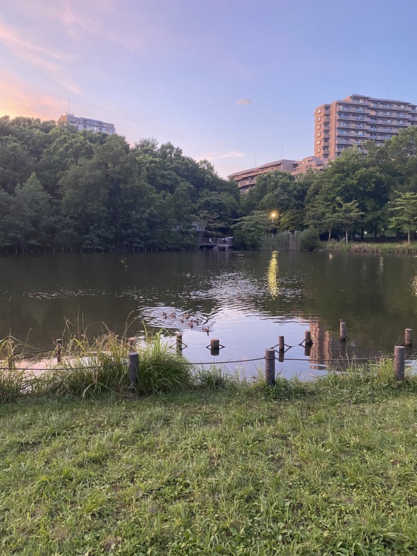 徳生公園の説明