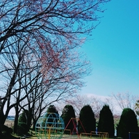 須賀南公園の写真