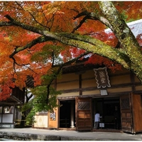 永源寺の写真