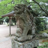 御井神社の写真