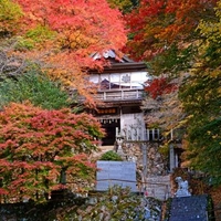 青倉神社の写真