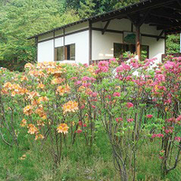 秋田市植物園の写真