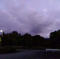 越前市東運動公園陸上競技場の写真