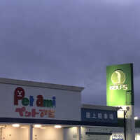 コメリ パワー河渡店 新潟県新潟市東区河渡 ホームセンター Yahoo ロコ