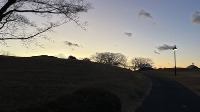 ちはら台公園 千葉県市原市ちはら台西 近隣公園 Yahoo ロコ