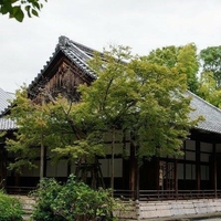 隠岐神社の写真