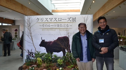 浅間クリスマスローズガーデン温室 長野県小諸市大字平原 その他 Yahoo ロコ