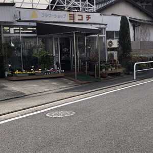 フラワーショップヨコチ(愛知県名古屋市天白区原/園芸用品・植木・苗木