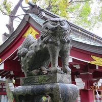篠崎八幡神社の写真