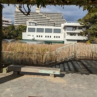 夙川公園(夙川河川敷緑地)の写真