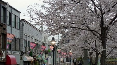 大岡川プロムナード 神奈川県横浜市南区大橋町 見る Yahoo ロコ