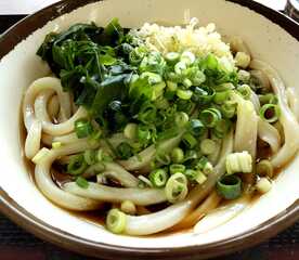 さか枝製麺所 仏生山店 香川県高松市仏生山町 うどん Yahoo ロコ