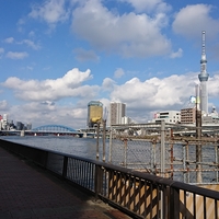 TOKYO CRUISEの写真