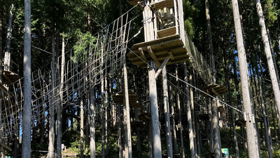 フォレストアドベンチャー 小田原 神奈川県小田原市荻窪 公園 Yahoo ロコ