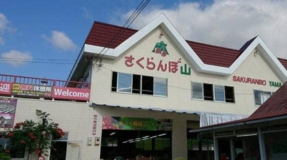 さくらんぼ山観光農園 北海道余市郡仁木町南町 遊ぶ Yahoo ロコ