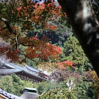 源氏山公園の写真