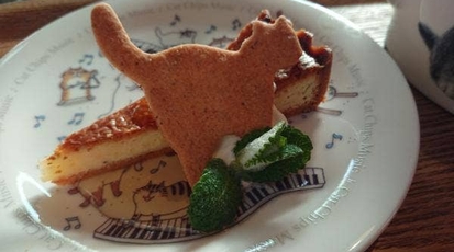 カフェ猫の散歩道 愛知県あま市七宝町鷹居 カフェ 紅茶専門店 Yahoo ロコ