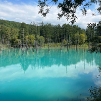 白金青い池の写真