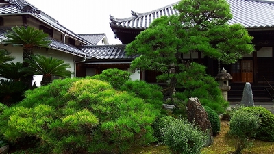 光蓮寺(広島県福山市神辺町大字川南/寺) - Yahoo!ロコ