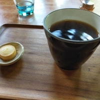 Decoyの写真