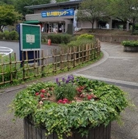 津久井湖観光センターの写真