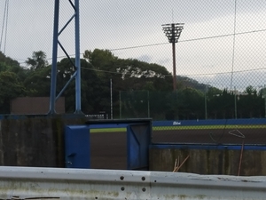 東海大学 野球部 グラウンドコート