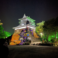 丸岡城の写真
